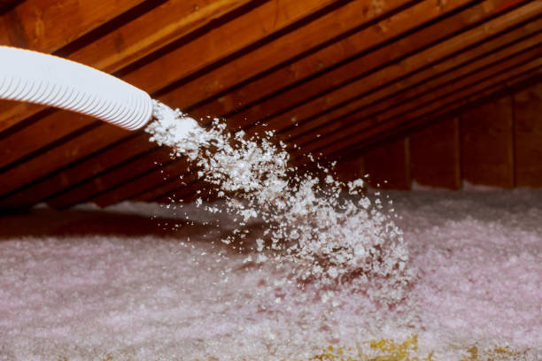 Best Spray Foam Insulation in Broadway, VA