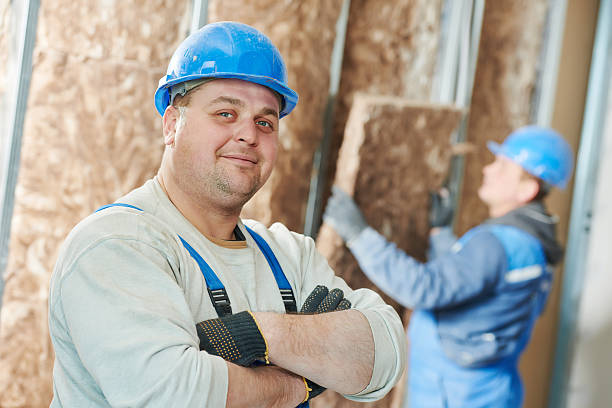 Best Eco-Friendly Insulation in Broadway, VA